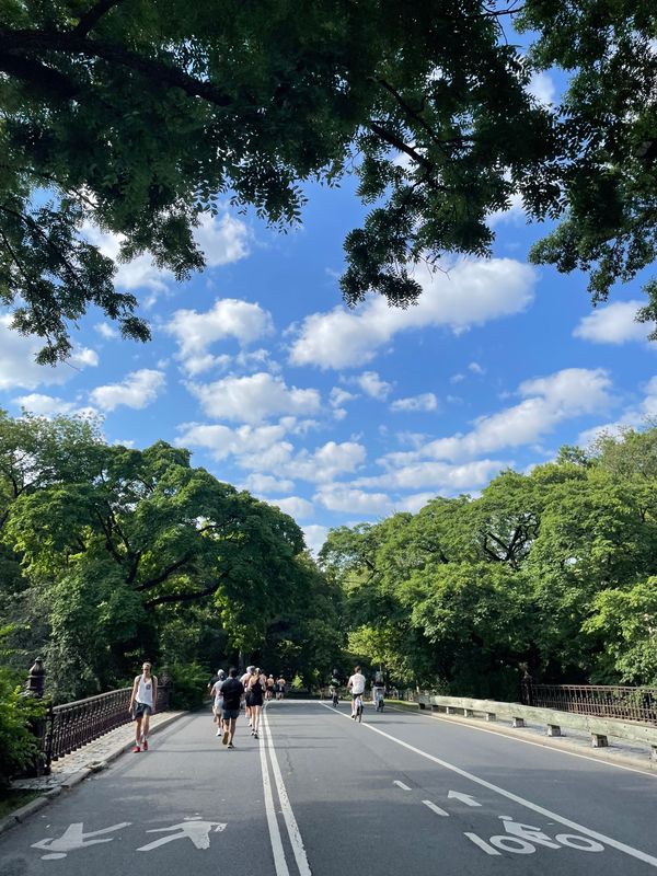 Running at Central Park in the summer of 2024.