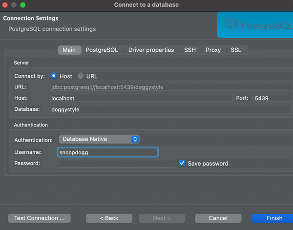 Set up the database connection in DBeaver.